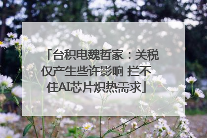 台积电魏哲家：关税仅产生些许影响 拦不住AI芯片炽热需求