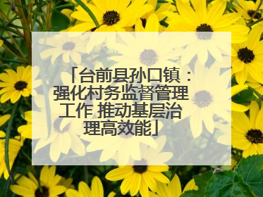 台前县孙口镇：强化村务监督管理工作 推动基层治理高效能