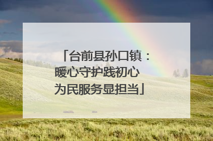台前县孙口镇：暖心守护践初心 为民服务显担当