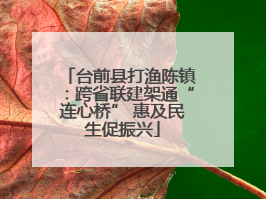 台前县打渔陈镇：跨省联建架通“连心桥” 惠及民生促振兴