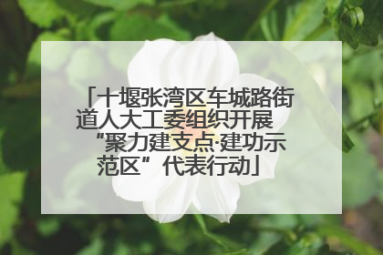 十堰张湾区车城路街道人大工委组织开展 “聚力建支点·建功示范区”代表行动