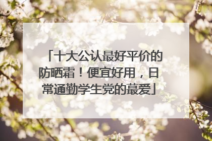 十大公认最好平价的防晒霜！便宜好用，日常通勤学生党的蕞爱