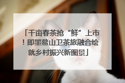 千亩春茶抢“鲜”上市！即墨鳌山卫茶旅融合绘就乡村振兴新图景