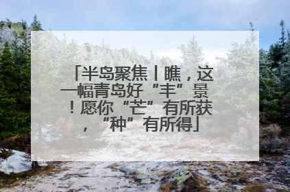 半岛聚焦丨瞧，这一幅青岛好“丰”景！愿你“芒”有所获，“种”有所得