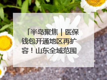 半岛聚焦｜医保钱包开通地区再扩容！山东全域范围内已开通，有何用处？如何操作？速戳→