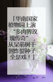 华南国家植物园上演“多肉界玫瑰传奇”，从呆萌树干到炸裂种子全是戏！