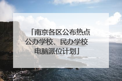 南京各区公布热点公办学校、民办学校电脑派位计划