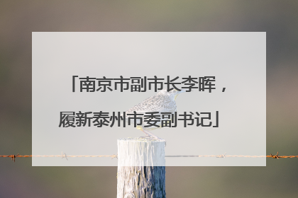 南京市副市长李晖，履新泰州市委副书记