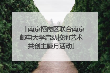 南京栖霞区联合南京邮电大学启动校地艺术共创主题月活动