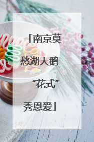 南京莫愁湖天鹅“花式”秀恩爱