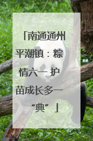 南通通州平潮镇：粽情六一 护苗成长多一“典”