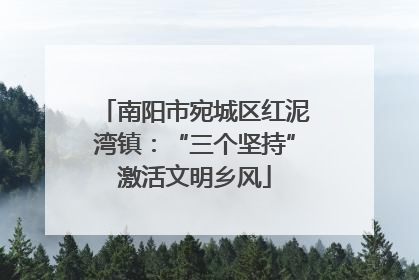 南阳市宛城区红泥湾镇：“三个坚持”激活文明乡风