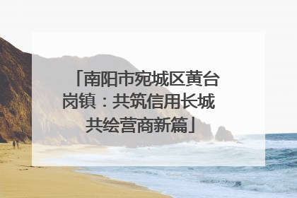 南阳市宛城区黄台岗镇：共筑信用长城 共绘营商新篇