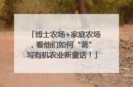 博士农场+家庭农场，看他们如何“薯” 写有机农业新童话！