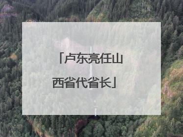 卢东亮任山西省代省长