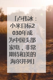 卢伟冰：小米目标2030年成为中国头部家电，非常期待和美的海尔并列