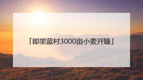 即墨蓝村3000亩小麦开镰