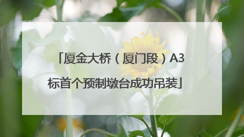 厦金大桥（厦门段）A3标首个预制墩台成功吊装