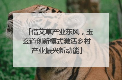 借艾草产业东风，玉玄道创新模式激活乡村产业振兴新动能