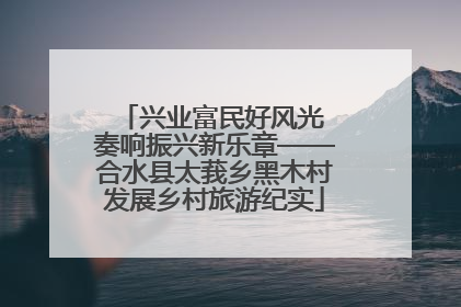 兴业富民好风光 奏响振兴新乐章——合水县太莪乡黑木村发展乡村旅游纪实