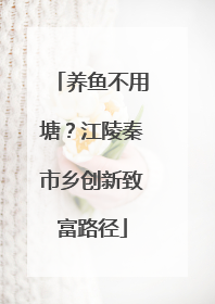 养鱼不用塘？江陵秦市乡创新致富路径