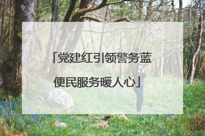 党建红引领警务蓝 便民服务暖人心