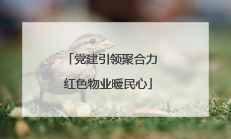 党建引领聚合力 红色物业暖民心