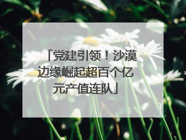 党建引领！沙漠边缘崛起超百个亿元产值连队