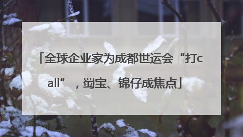 全球企业家为成都世运会“打call”，蜀宝、锦仔成焦点