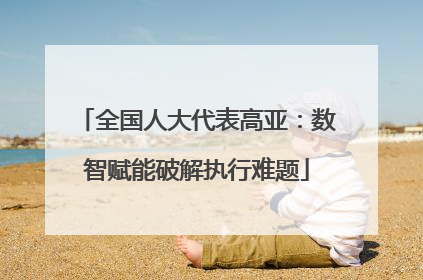 全国人大代表高亚：数智赋能破解执行难题