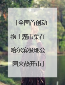 全国首创动物主题市集在哈尔滨极地公园火热开市