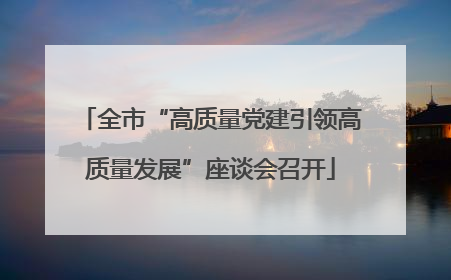全市“高质量党建引领高质量发展”座谈会召开