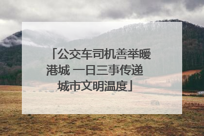 公交车司机善举暖港城 一日三事传递城市文明温度