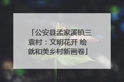 公安县孟家溪镇三袁村：文明花开 绘就和美乡村新画卷