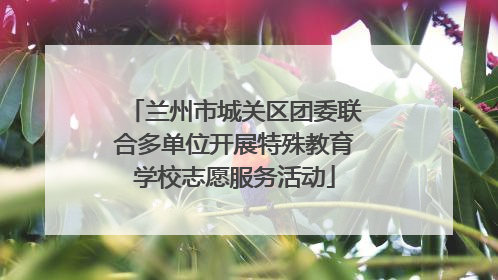 兰州市城关区团委联合多单位开展特殊教育学校志愿服务活动