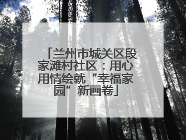 兰州市城关区段家滩村社区：用心用情绘就“幸福家园”新画卷