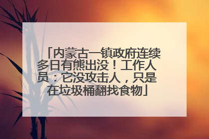 内蒙古一镇政府连续多日有熊出没！工作人员：它没攻击人，只是在垃圾桶翻找食物