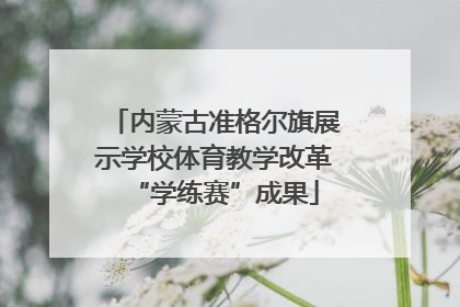 内蒙古准格尔旗展示学校体育教学改革“学练赛”成果