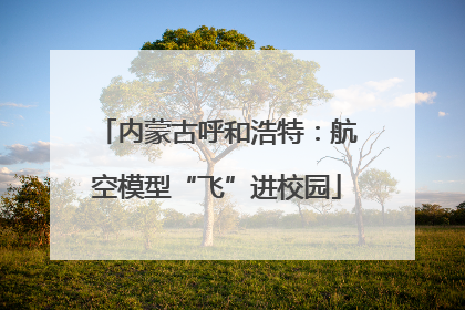 内蒙古呼和浩特：航空模型“飞”进校园