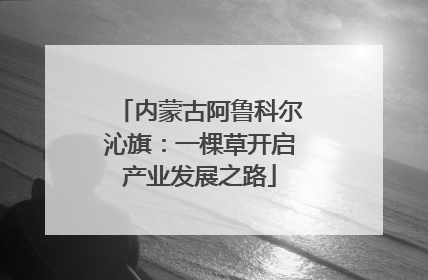 内蒙古阿鲁科尔沁旗：一棵草开启产业发展之路