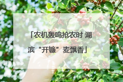 农机轰鸣抢农时 湖滨“开镰”麦飘香