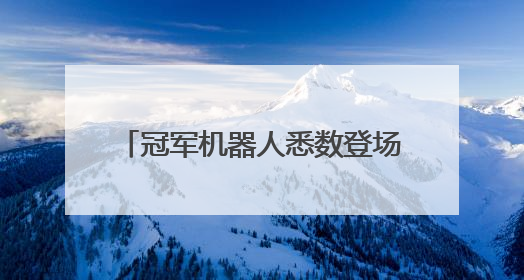 冠军机器人悉数登场！宇树王兴兴：让人形机器人马上进入家庭等场景并不现实