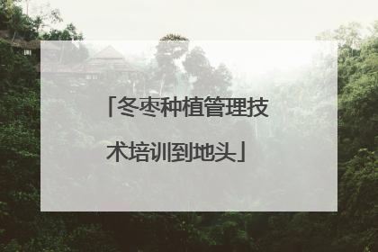 冬枣种植管理技术培训到地头