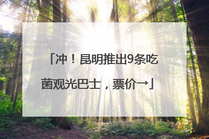 冲！昆明推出9条吃菌观光巴士，票价→
