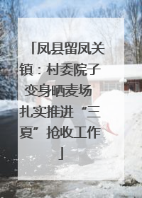 凤县留凤关镇：村委院子变身晒麦场 扎实推进“三夏”抢收工作