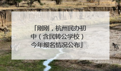 刚刚，杭州民办初中（含民转公学校）今年报名情况公布