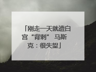 刚走一天就遭白宫“背刺” 马斯克：很失望