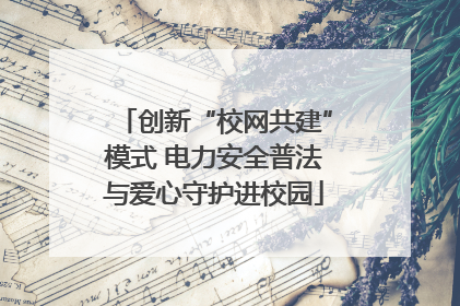 创新“校网共建”模式 电力安全普法与爱心守护进校园