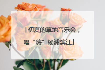 初夏的草地音乐会，唱“嗨”杨浦滨江