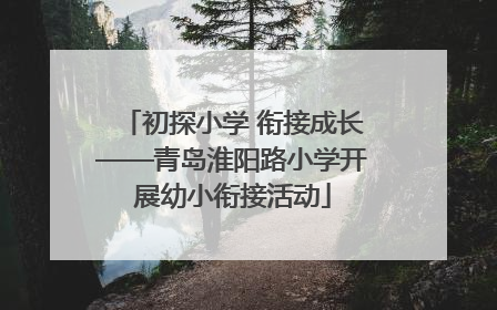 初探小学 衔接成长——青岛淮阳路小学开展幼小衔接活动
